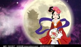 嫦娥最新爆料视频播放,探月工程新进展与未来展望